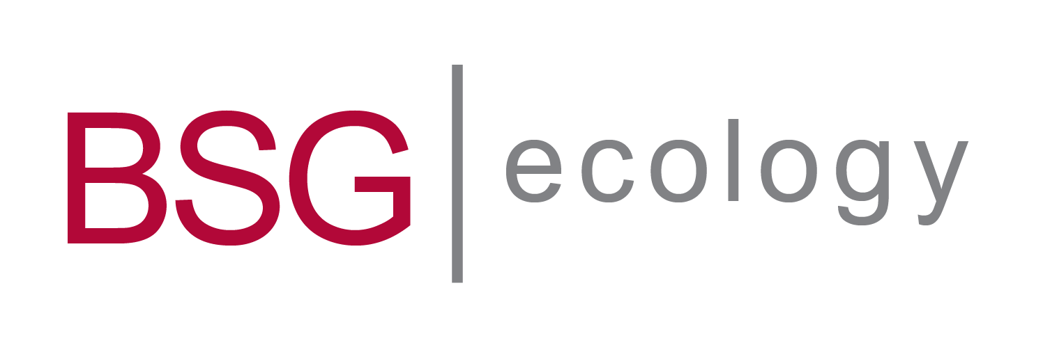 BSG Ecology logo